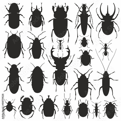 Beetles silhouette set © volyk