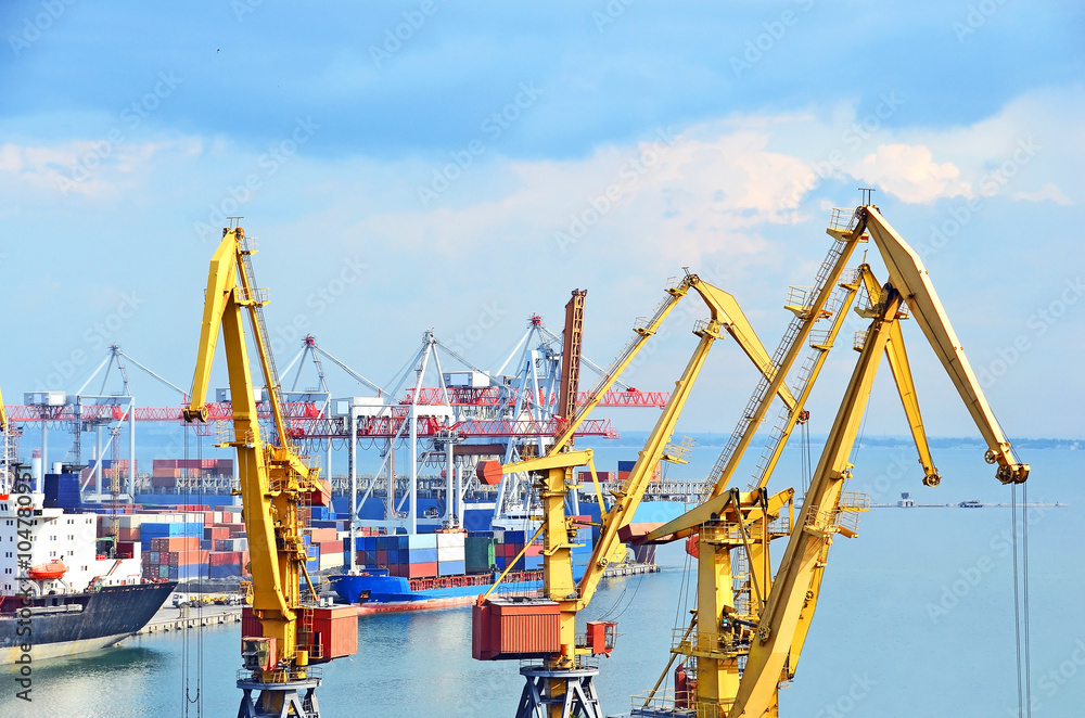 Port cargo crane and ship