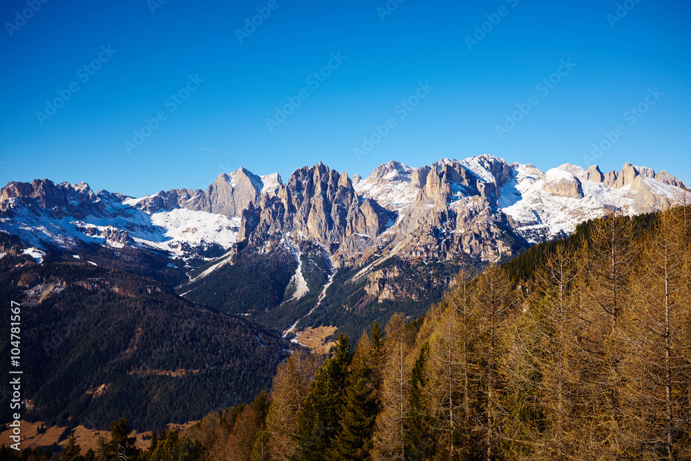 Fototapeta premium view of forest and rocks