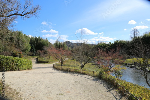 Natur, Landschaft, Garten, Frühling photo