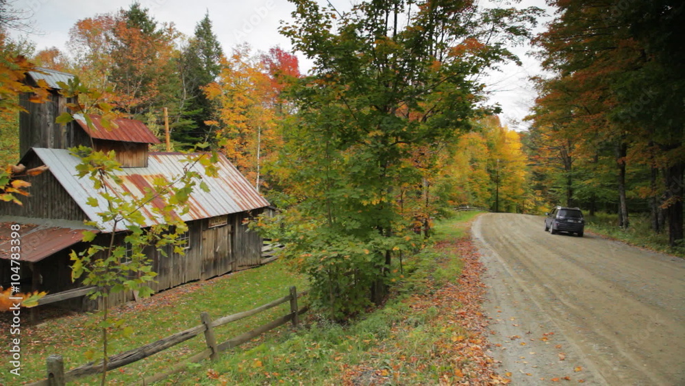Weathered building on the side of a rural, gravel road lined with autumn-colored maple trees with a sign that reads MAPLE SYRUP. Weathered building on the side of a rural, gravel road lined with autumn-colored maple trees with a sign that reads MAPLE SYRUP.
