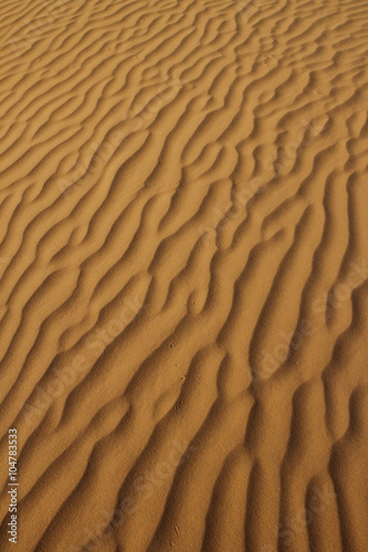 Yellow sand of Sahara