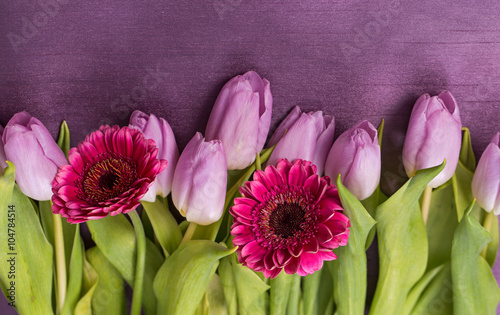 Wiosenny bukiet kwiatów z tulipanów i gerber  w pastelowych różowych kolorach na fioletowym tle