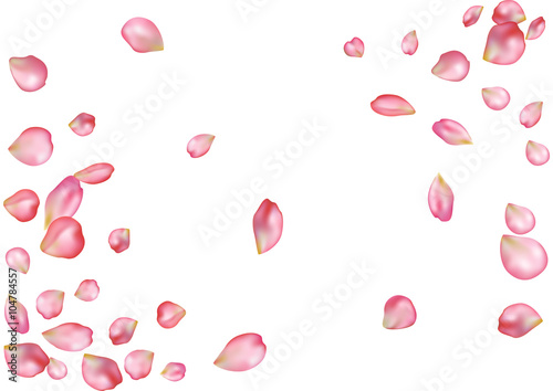 Abstract background with flying pink rose petals.