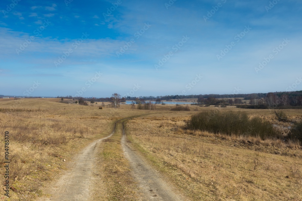 Fototapeta premium Early spring meadow landscape in Poland.