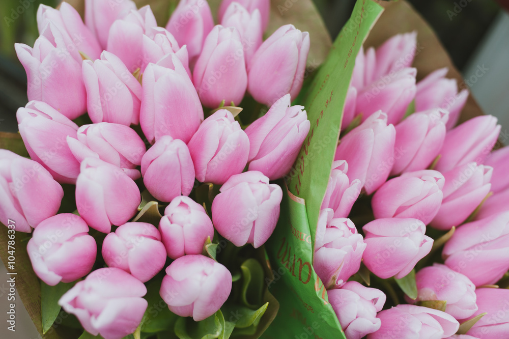 Fototapeta premium Pink tulip flowers