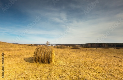 Early spring meadow landscape in Poland.