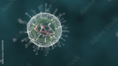 A looping animation of a single Virus floating depicted with the surrounding protein envelope encapsulating the inner icosahedral capsid that contains the viral genome photo