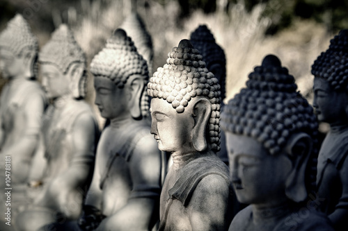 Fotografie Meditating Buddha Statues in a Row