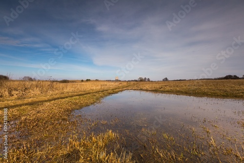 Early springtime on meadow near wetlands