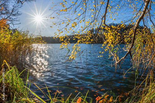 Morgensonne am Hellsee bei Lanke photo