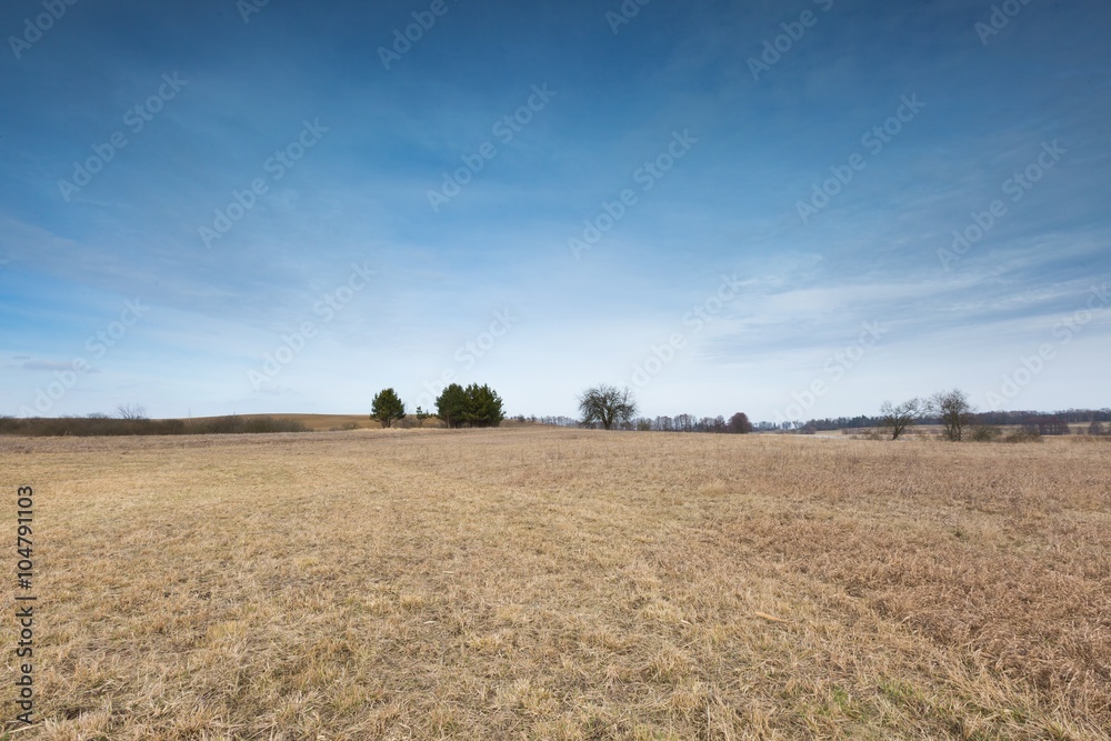 Early spring meadow landscape in Poland. Early spring meadow landscape in Poland.