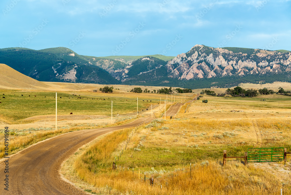 Dirt Road to Bighorn Mountains