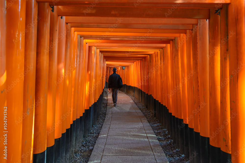Fototapeta premium Red tori gate at Fushimi Inari Shrine in Kyoto, Japan.