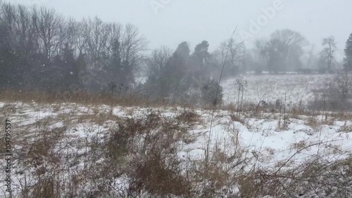 Wallpaper Mural Blizzard in the land of the rolling prairie Torontodigital.ca