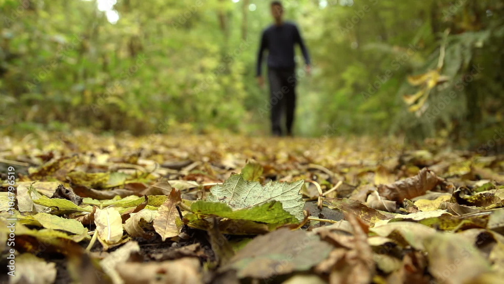 Hiker Walking Through Autumnal Leaves Hiker Walking Through Autumnal Leaves