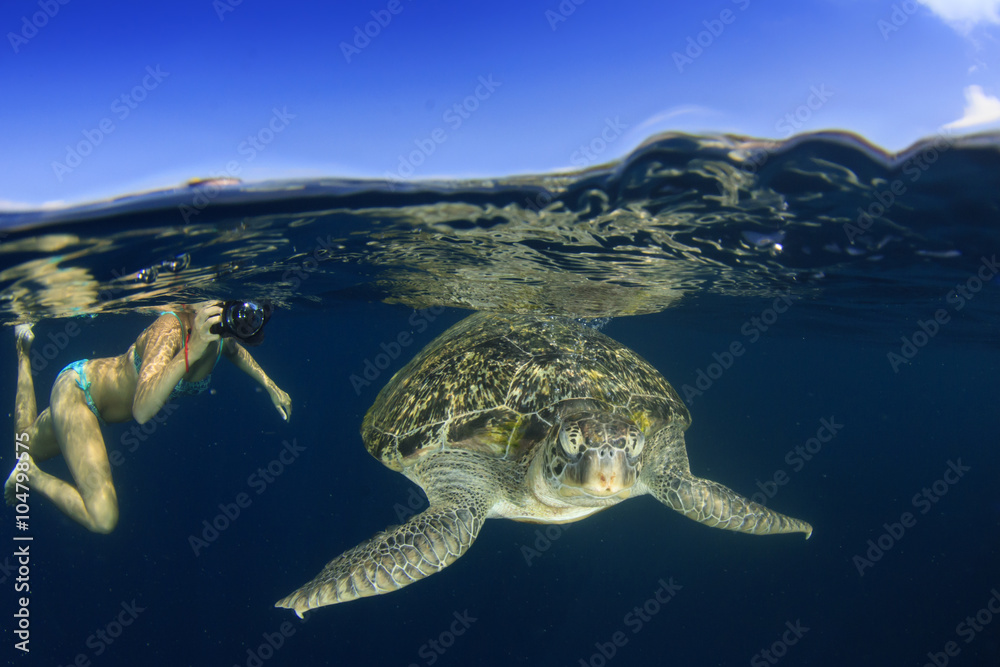 Young woman snorkeling swims with sea turtle