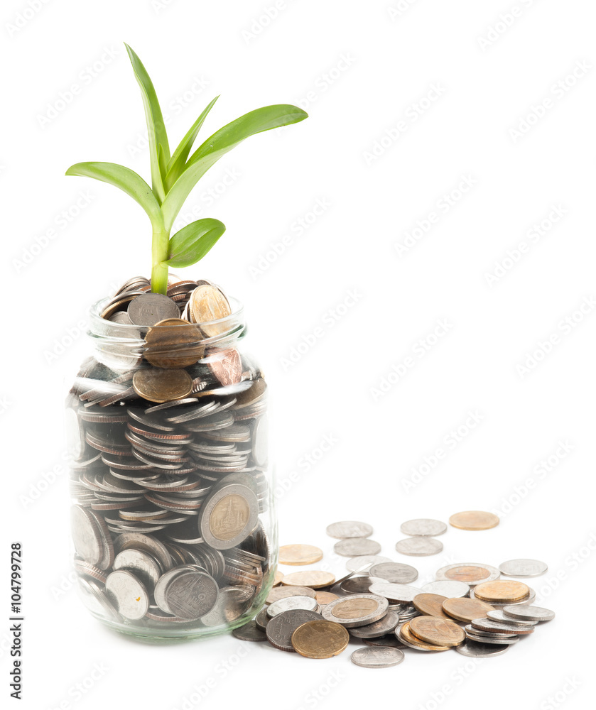 Coins and plant in glass on white background Coins and plant in glass on white background