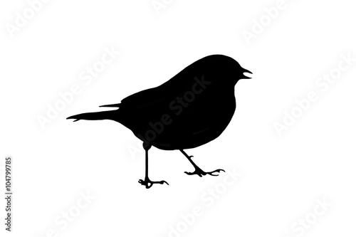Valokuva Bird Silhouette