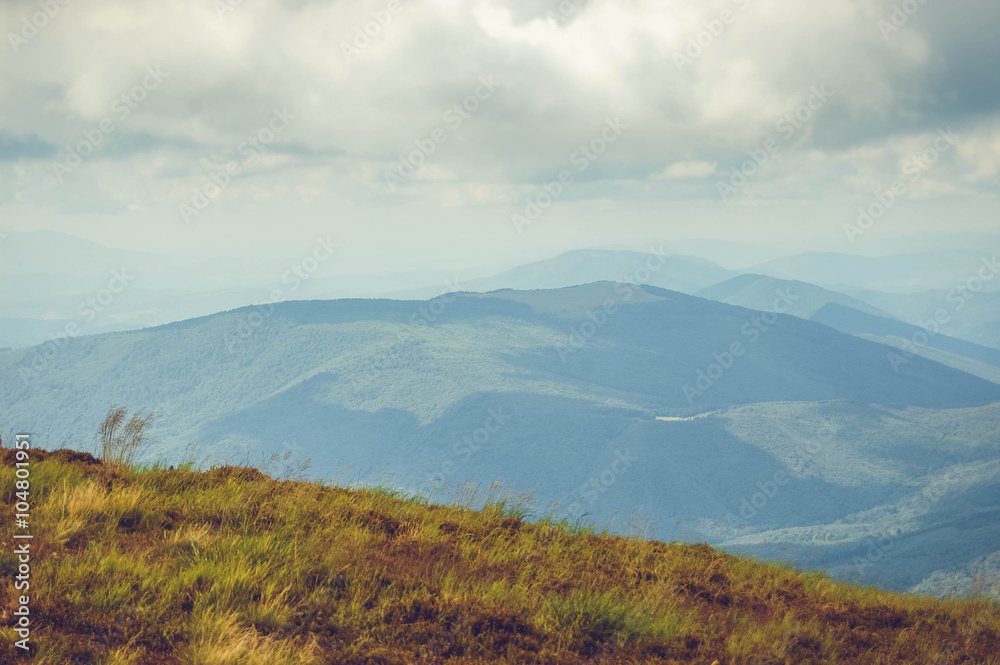 Carpathian mountains landscape