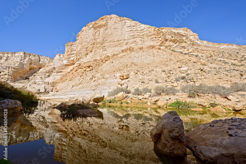 Unique canyon in the Negev desert.