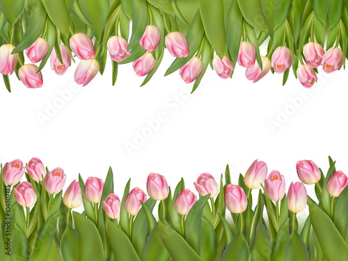 Blossoming tulips decorative border. EPS 10
