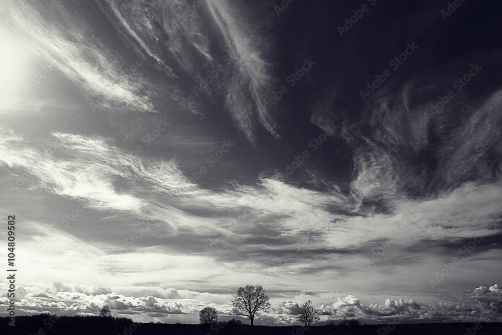 Naklejka premium czarno-białe zdjęcie jesień krajobraz