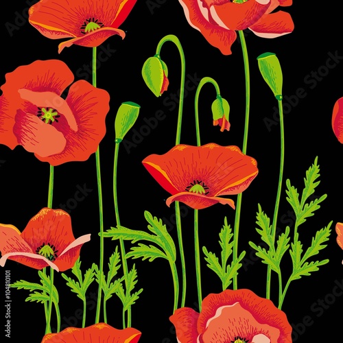 Maquis poppies maki