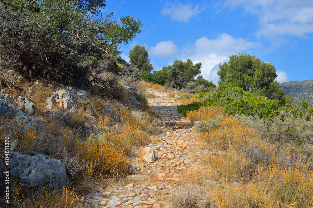 Fototapeta premium Summer landscape in Crete.