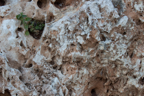 old stone texture
