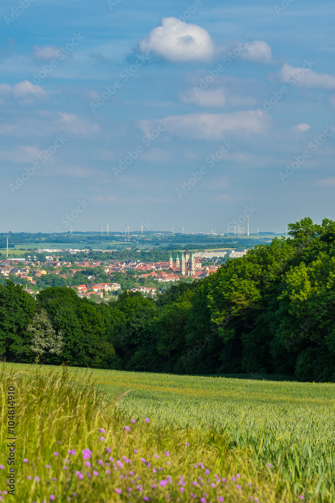 Blick auf Naumburg und Naumburger Dom im Sommer, Burgenlandkreis in Sachsen-Anhalt