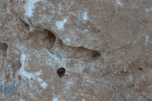 old stone texture
