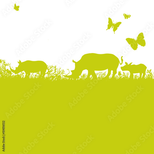 Grashalme und Nashörner in Afrika