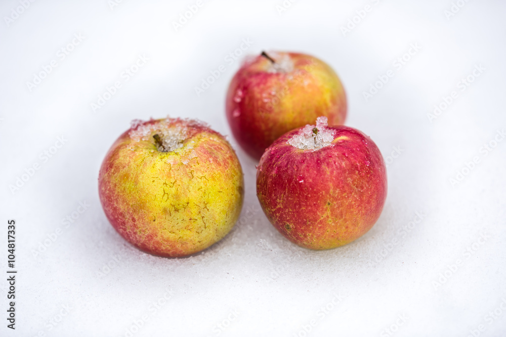 Red apples in the snow Red apples in the snow