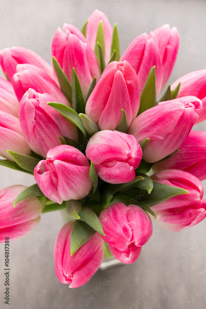 More tulip on the grey background. More tulip on the grey background.