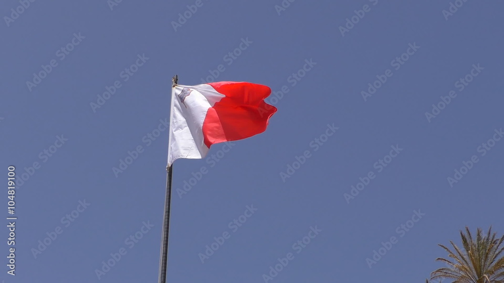National red and white colour and St George cross flag of Malta waving on the pole against blue sky. There is a palm tree top in the frame corner