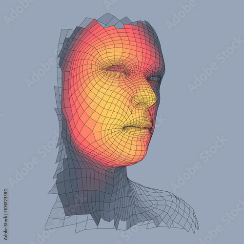 Head of the Person from a 3d Grid. Human Head Wire Model. Human Polygon Head. Face Scanning. View of Human Head. 3D Geometric Face Design. 3d Polygonal Covering Skin. Geometry Polygon Man Portrait.