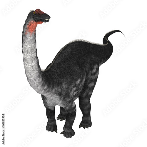 Dinosaur Apatosaurus on White