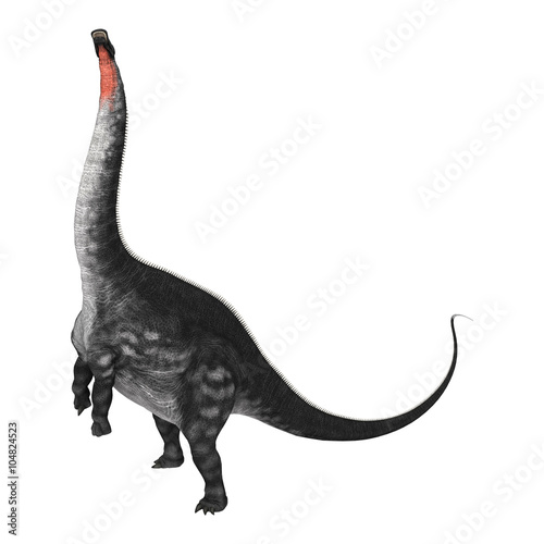 Dinosaur Apatosaurus on White