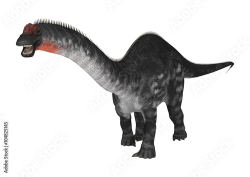 Dinosaur Apatosaurus on White