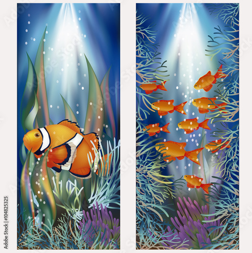 Underwater banners with clownfish, vector illustration