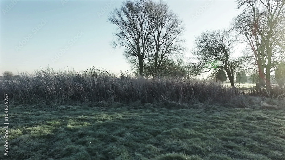 Panning through a frost covered park in winter with a sunrise streaking through the trees