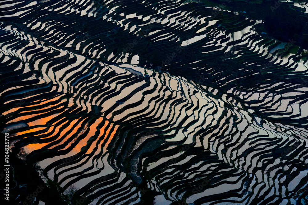 Rice Terraced field in water season in YuanYang, China Rice Terraced field in water season in YuanYang, China
