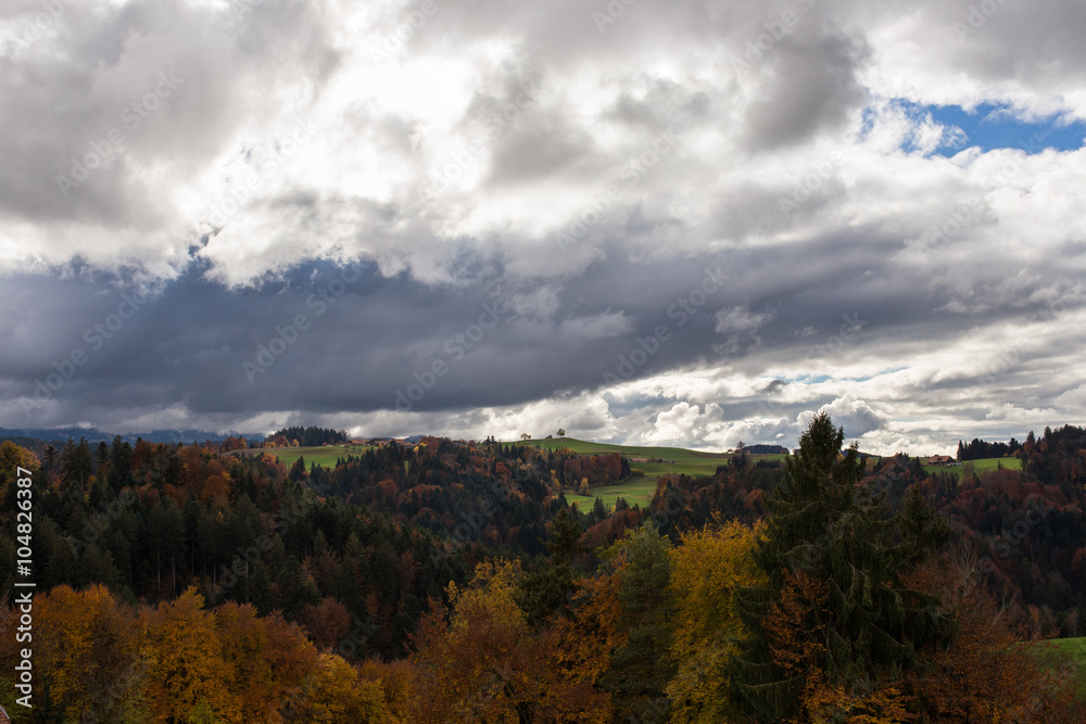 Wald in Herbstfarben 