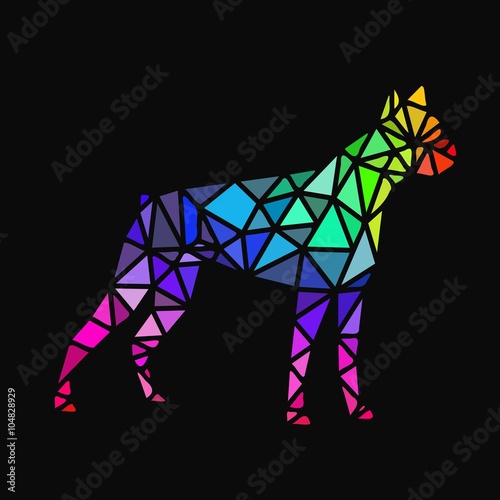polygon boxer dog, colorful. Dark background