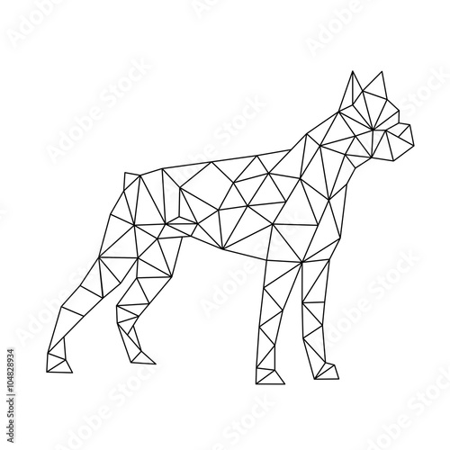 polygon boxer dog, black and white vector