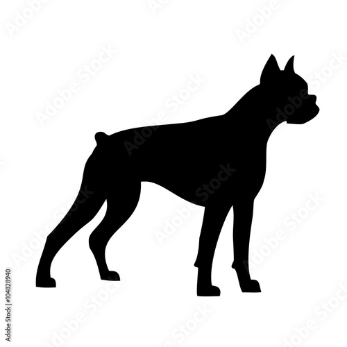 boxer dog, silhouette