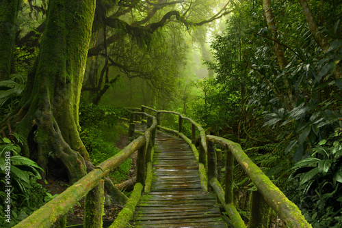 Fototapeta Nepal dżungla z drewnianym mostem