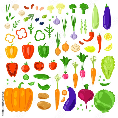 Set vector vegetables and herbs.