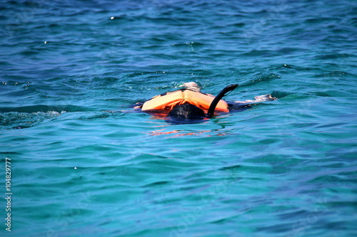 Traveler snorkeling with clear water at Similan island, Andaman sea, Thailand